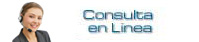 Chat en L&iacute;nea